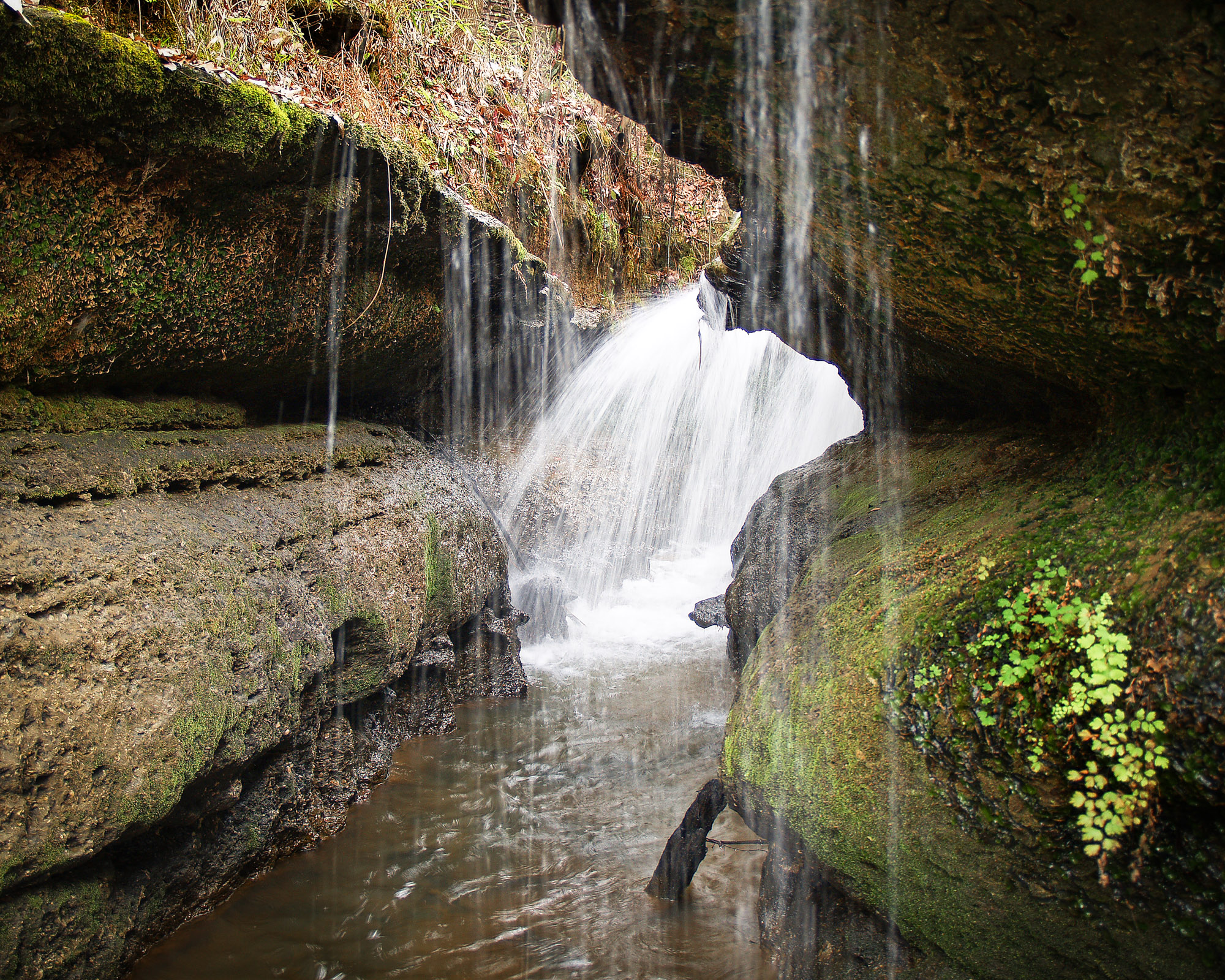 OLYMPUS DIGITAL CAMERA City Of Blakely,